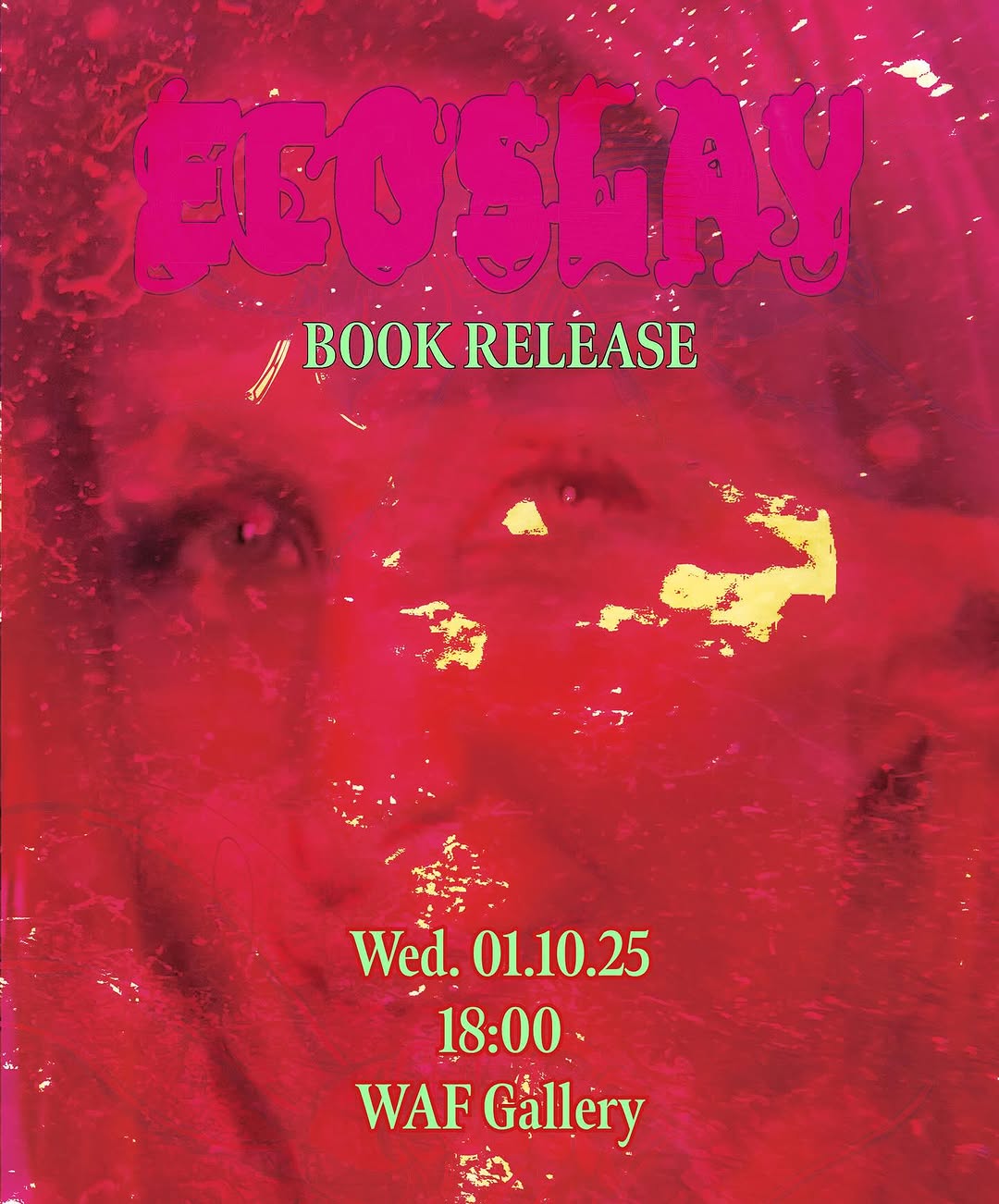 Ecosolay Release Poster